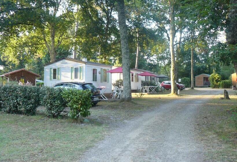 호텔 Camping Le Pin