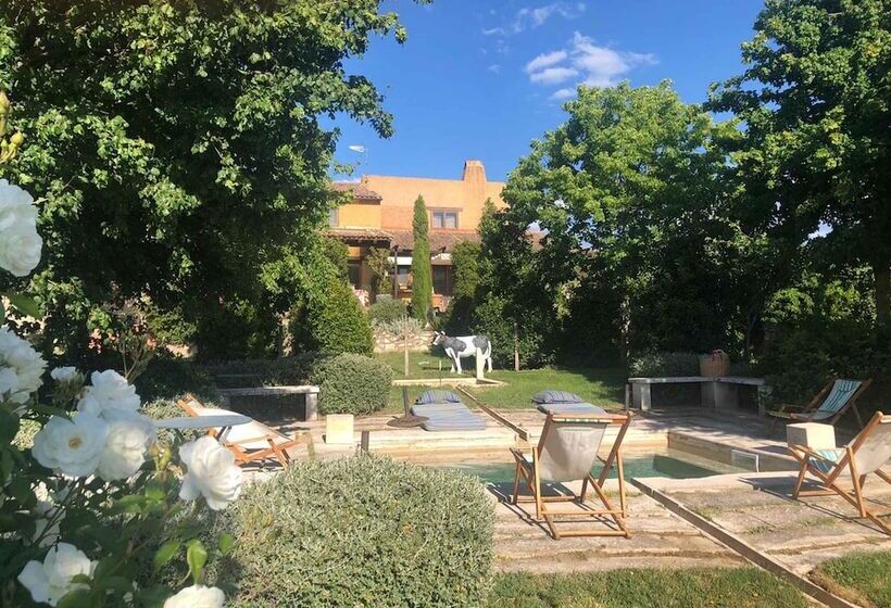 بنسيون Casa Rota
