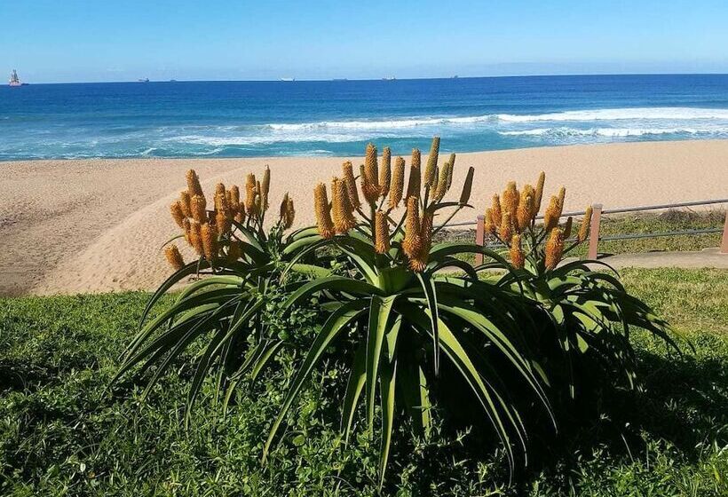 پانسیون Hillside Guesthouse Umhlanga