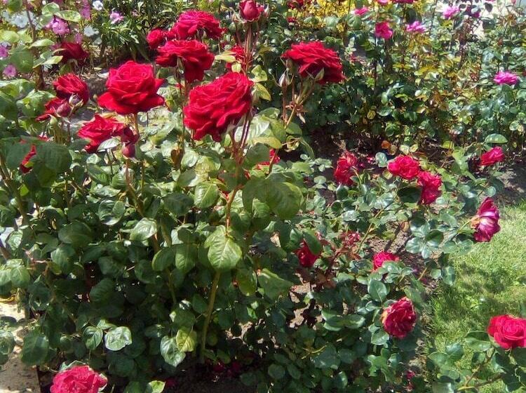 민박 Au Jardin De Creachavel