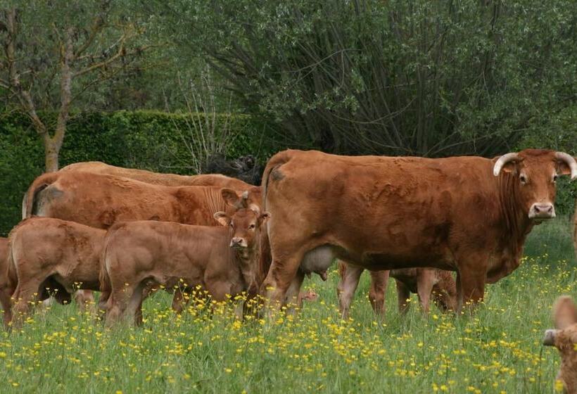 مبيت وإفطار Chambres D Hotes Du Jay