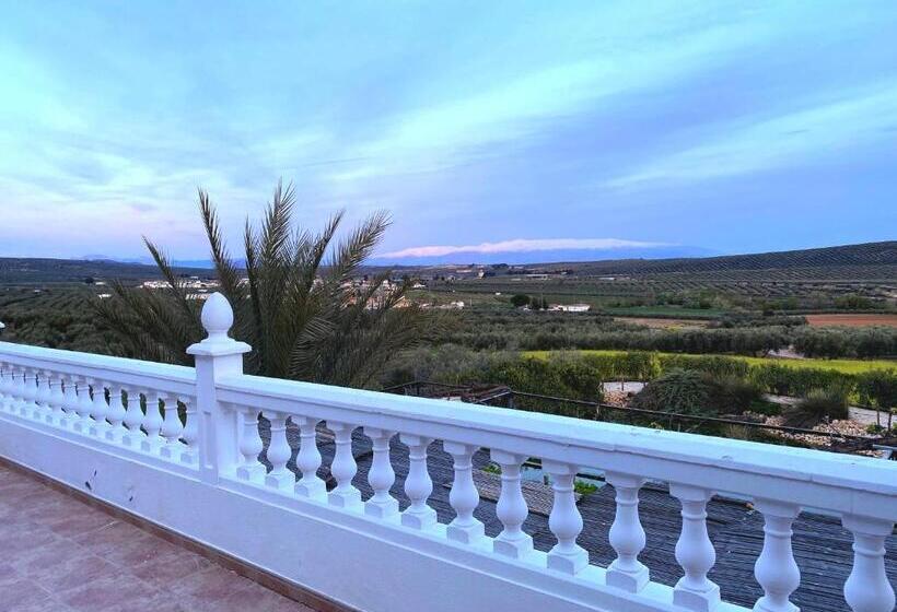 Casa Olivar B&b
