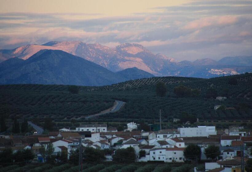 Casa Olivar B&b