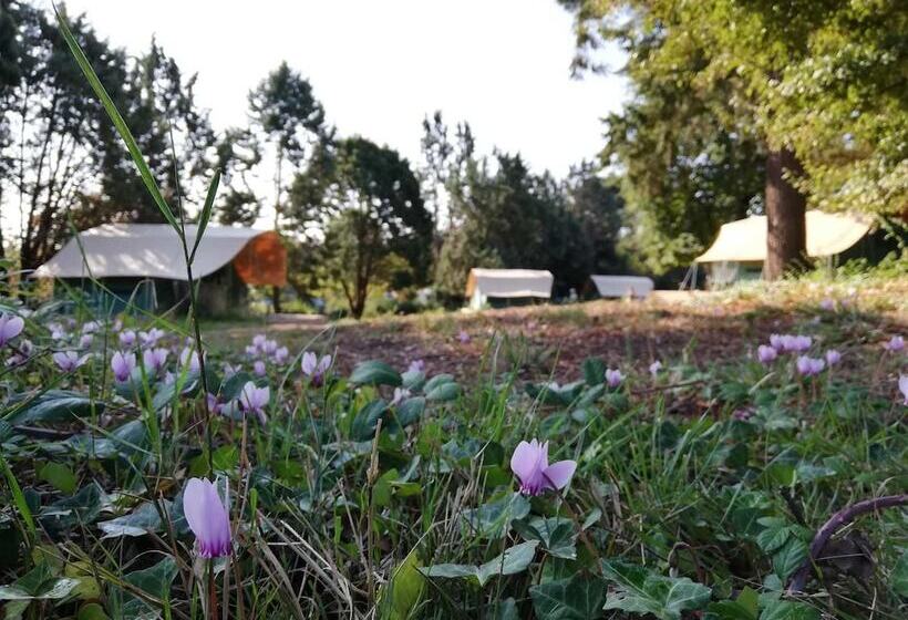 Отель Camping D Angers