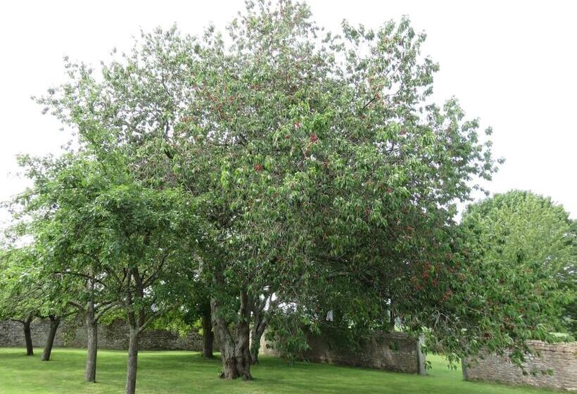 Le Manoir De Placy   Bed And Breakfast