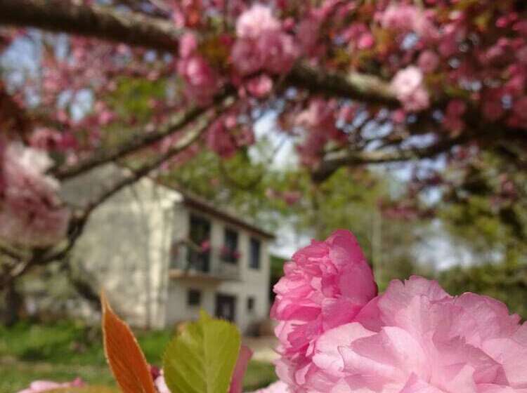 مبيت وإفطار Chez Flo Et Marc