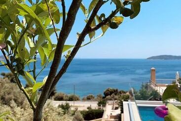 Golden King Villas