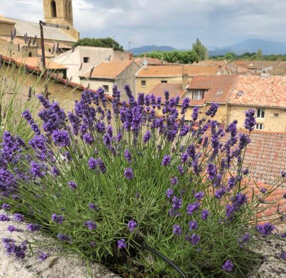 פנסיון Entre Vignes Et Dentelles