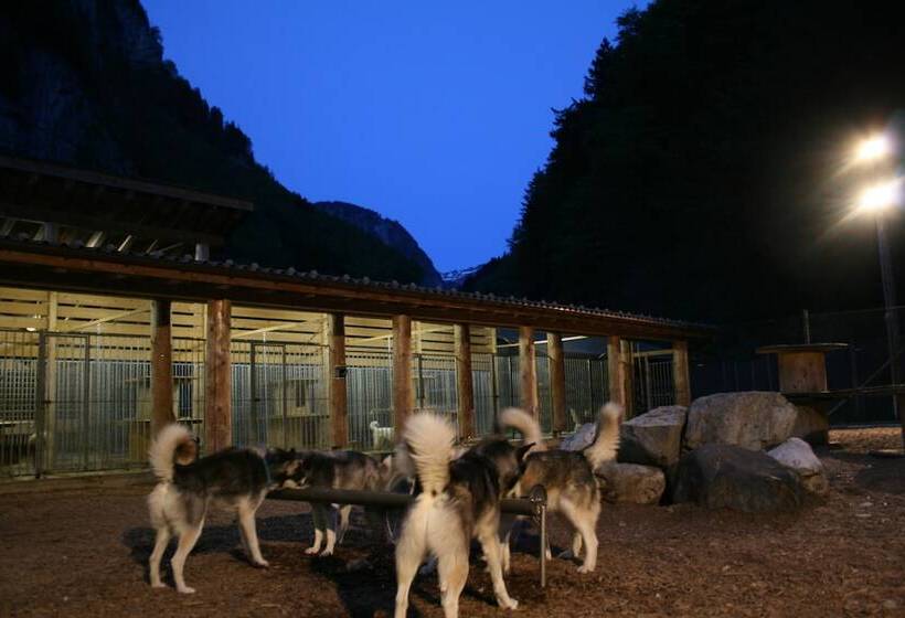 هتل Hutten Husky Lodge