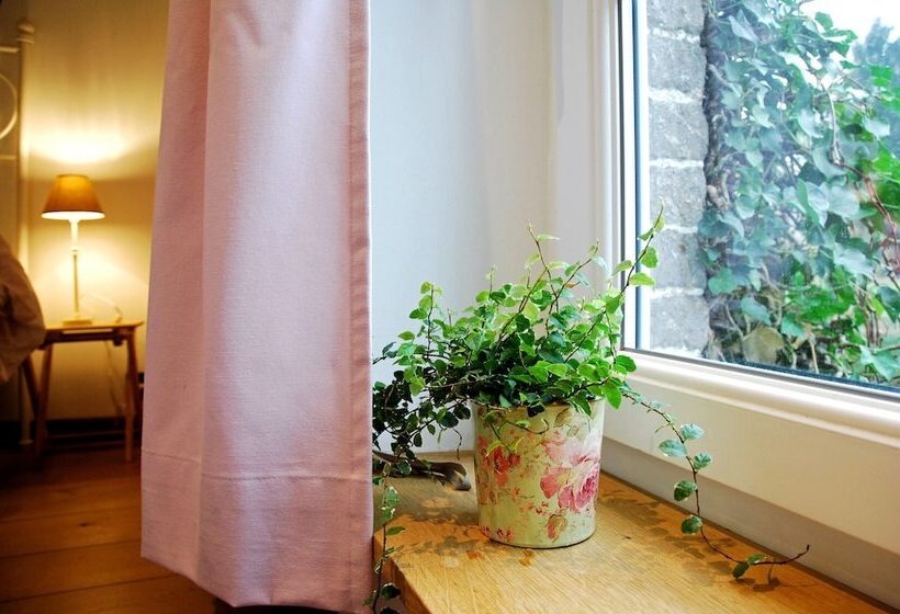 بنسيون B&b La Buissonniere