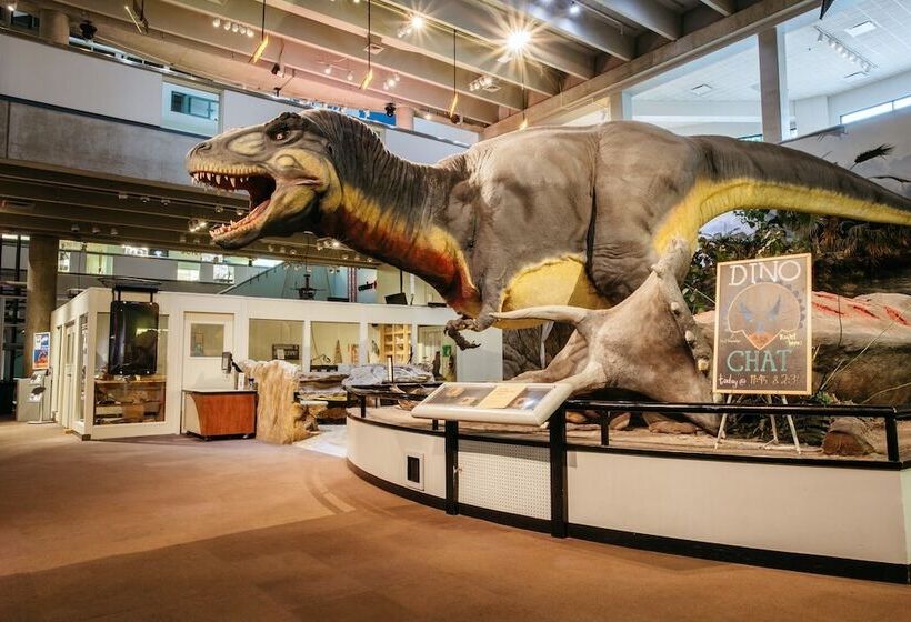 בית מלון כפרי Americas Best Value Inn St. Louis / South