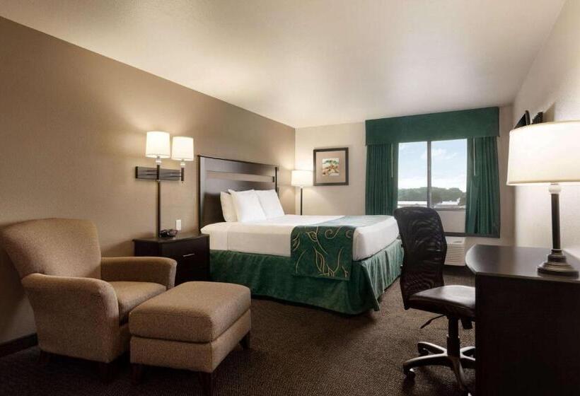 فندق Baymont By Wyndham Wellington