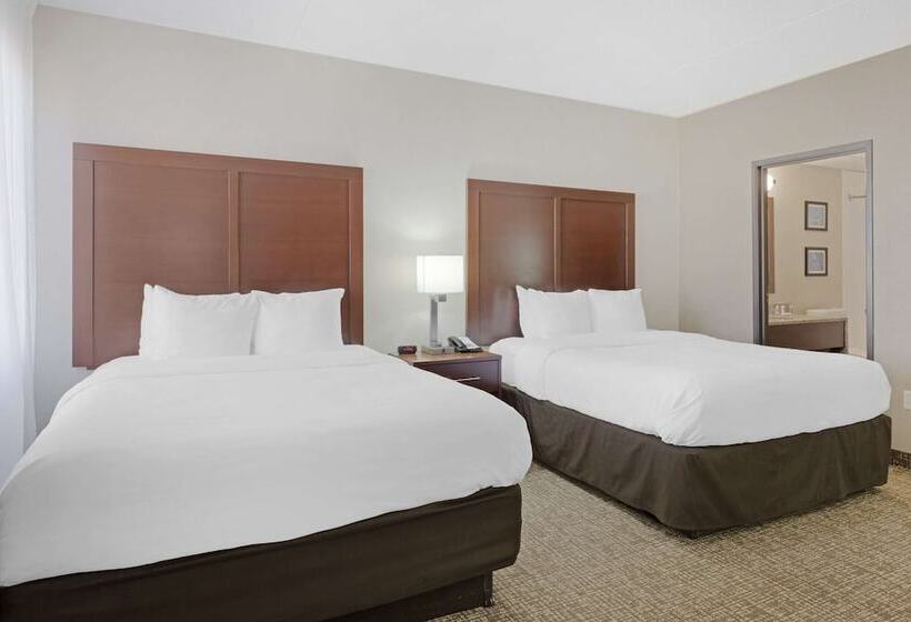 בית מלון כפרי Comfort Inn & Suites