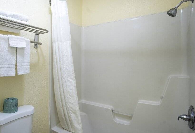 هتل Nendels Inn & Suites Dodge City Airport