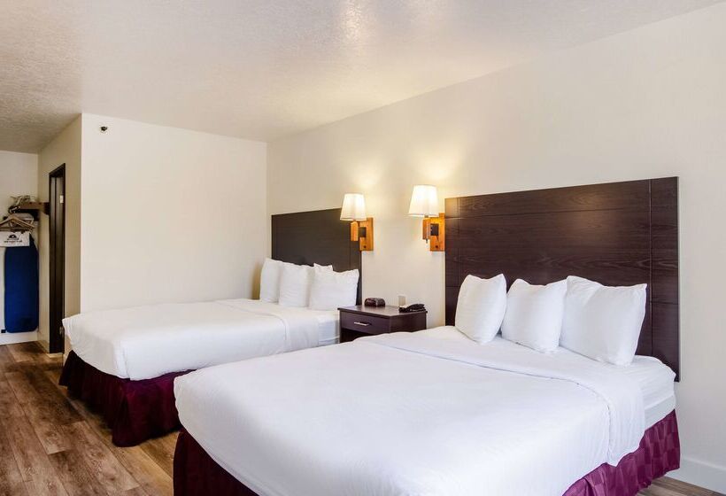 فندق على الطريق Americas Best Value Inn & Suites Ft. Collins E At I25