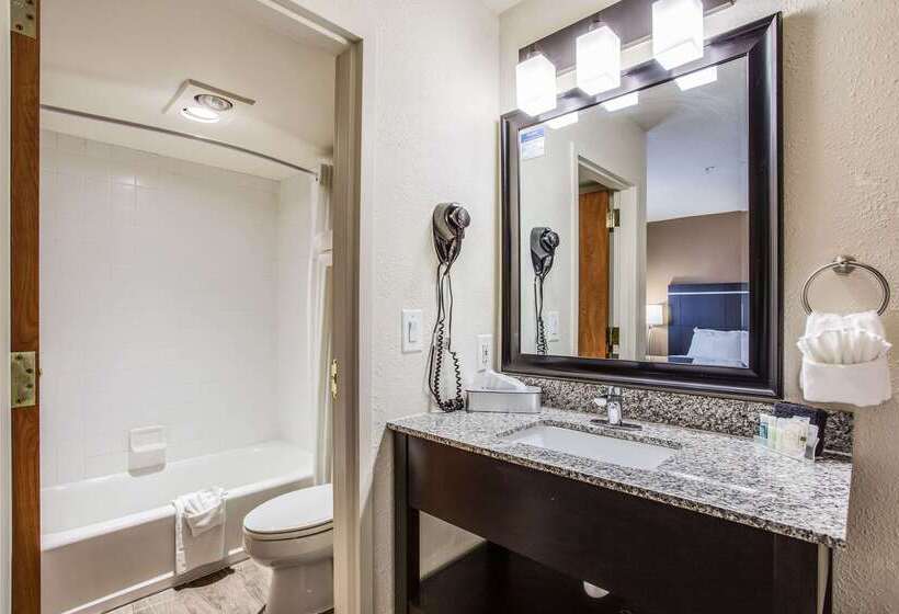 מוטל Quality Inn & Suites Meridian   West Boise