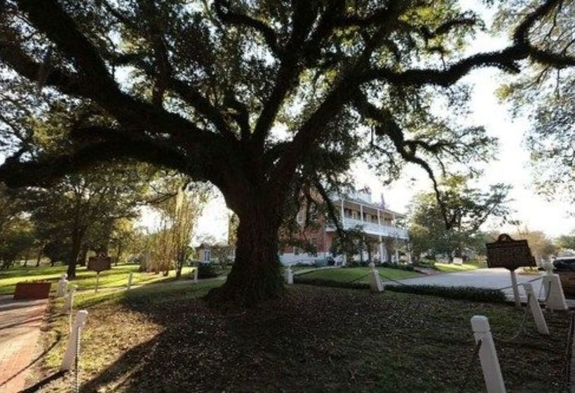 Old Castillo Bed And Breakfast