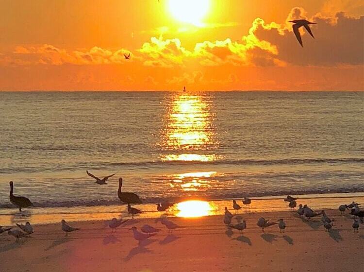 استراحتگاه Tybee