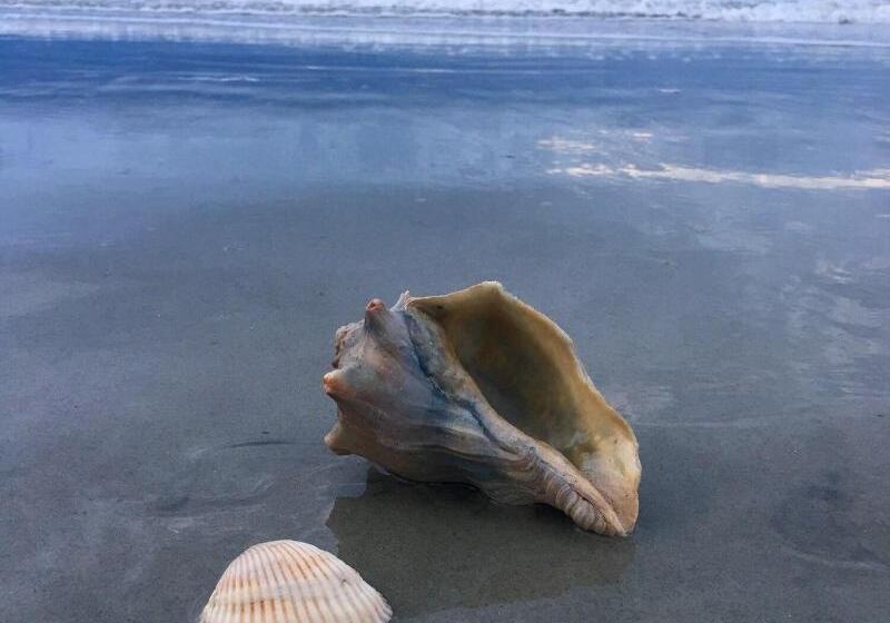 استراحتگاه Tybee