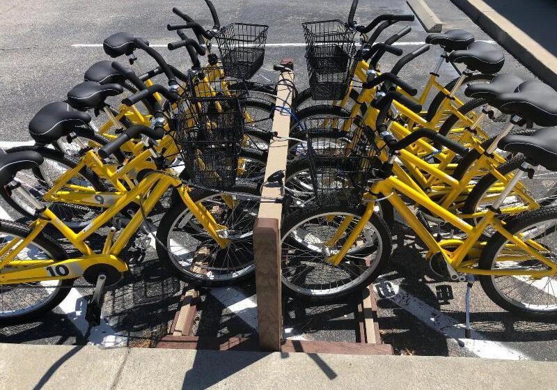 استراحتگاه Tybee