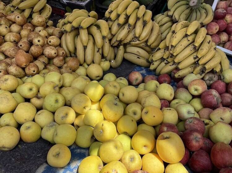 پانسیون Maison Darna Guesthouse