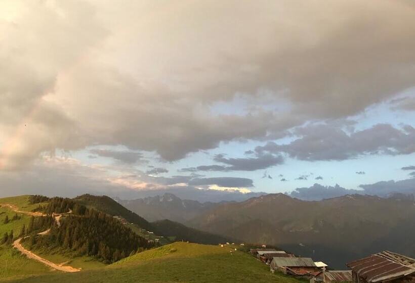 פנסיון Pokut Inn