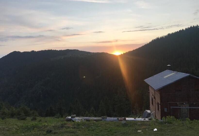膳宿费 Pokut Inn