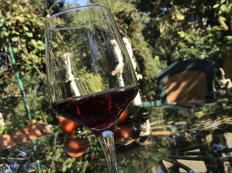 پانسیون Topical House