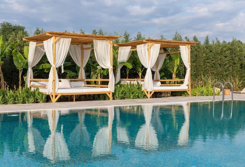 Zigo S Hotel Special Class