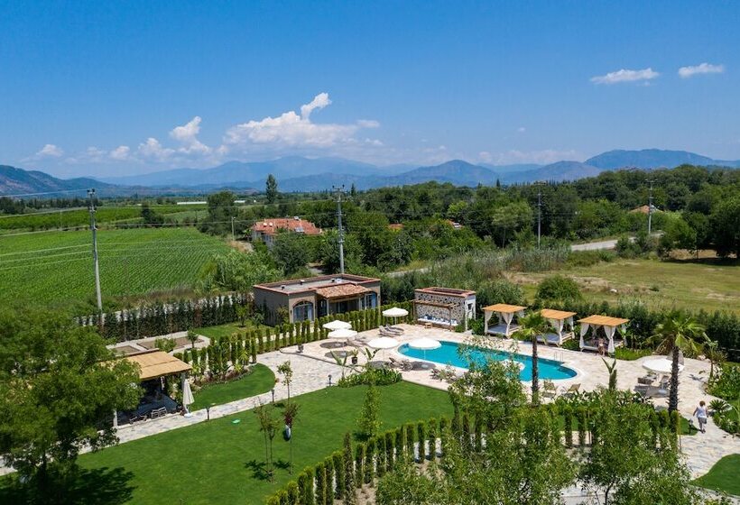 Zigo S Hotel   Special Class