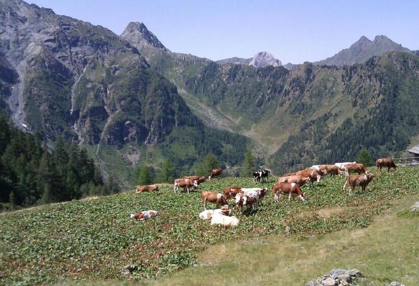 Apartmentshaus Dual   2