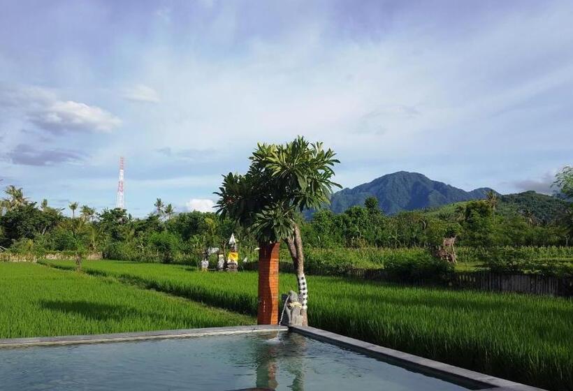 Отель Umma Bali Menjangan Retreat