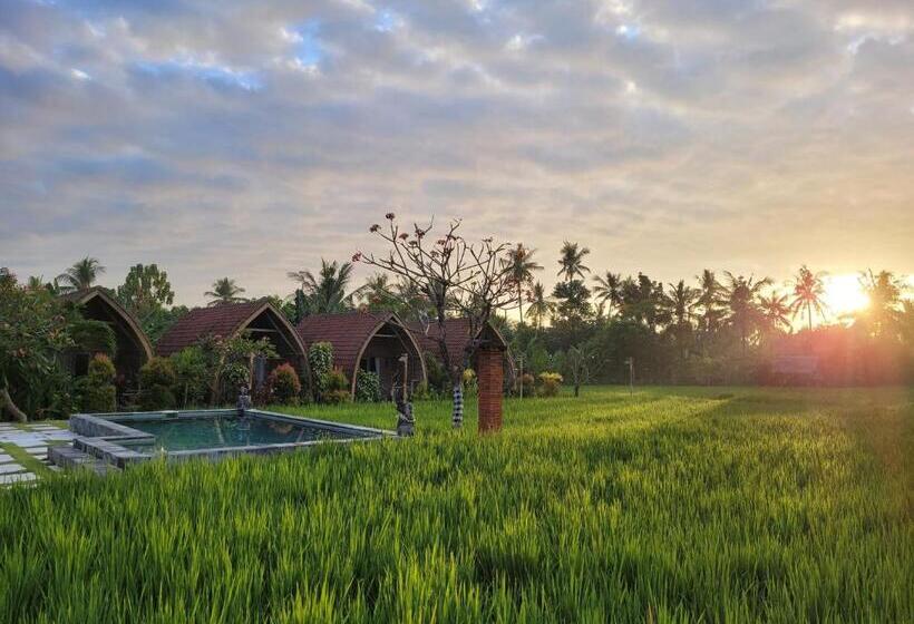 Отель Umma Bali Menjangan Retreat