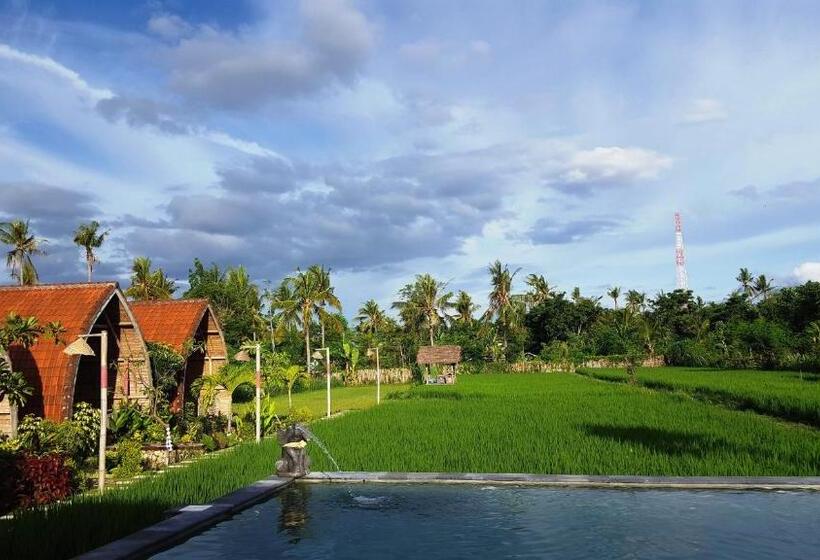Отель Umma Bali Menjangan Retreat