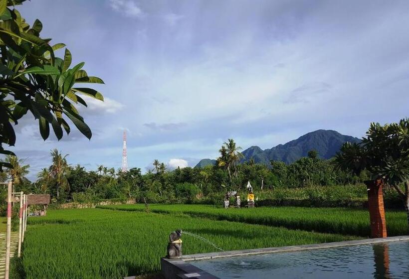 Отель Umma Bali Menjangan Retreat