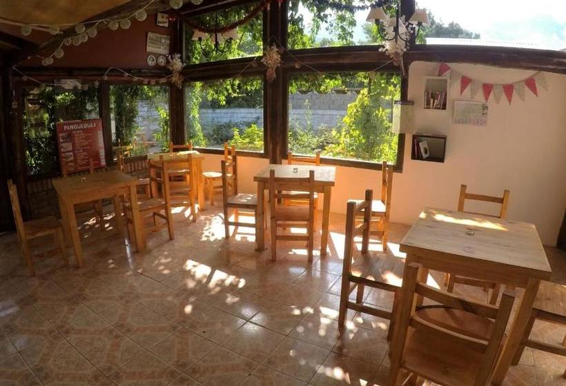 تختخواب و صبحانه Pura Vida Hostel