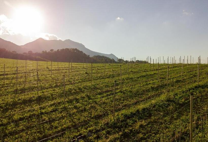 فندق Agriturismo Podere Coldifico
