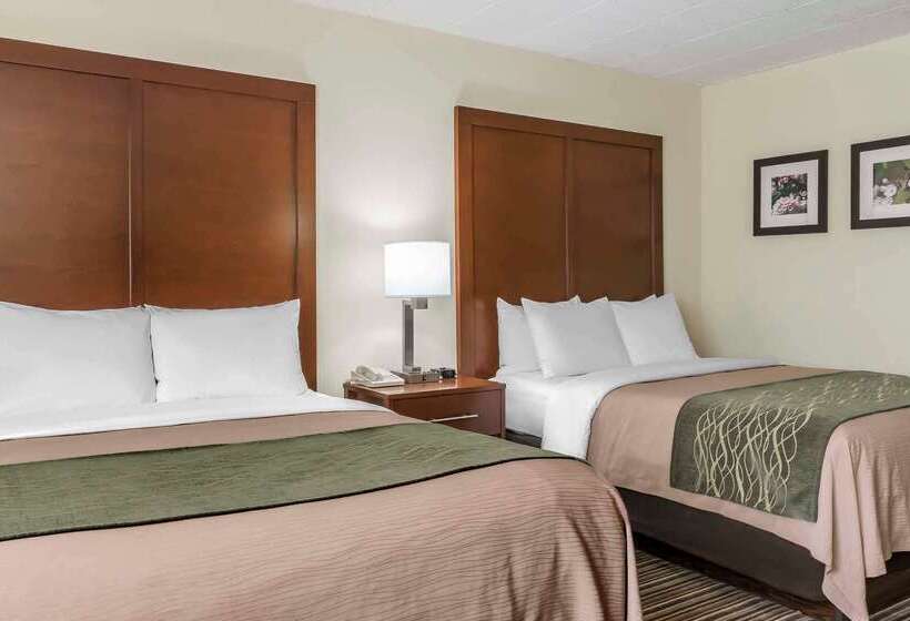 酒店 Comfort Inn  Pocono Mountains