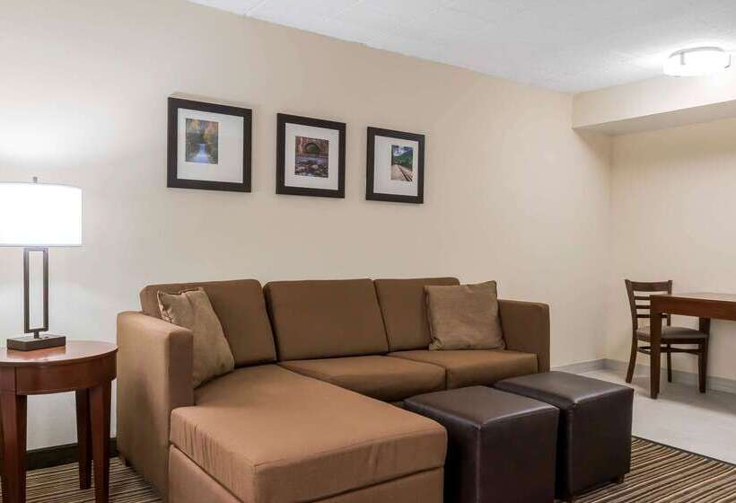 酒店 Comfort Inn  Pocono Mountains