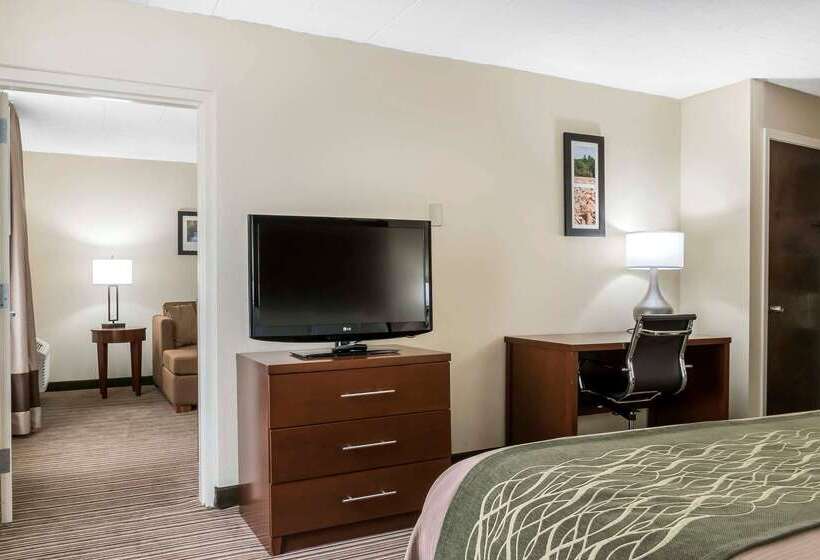 酒店 Comfort Inn  Pocono Mountains