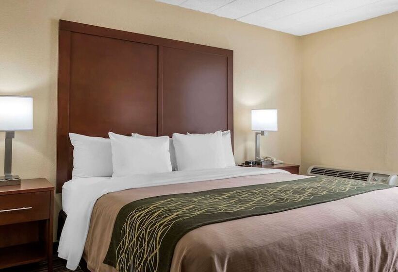 酒店 Comfort Inn  Pocono Mountains