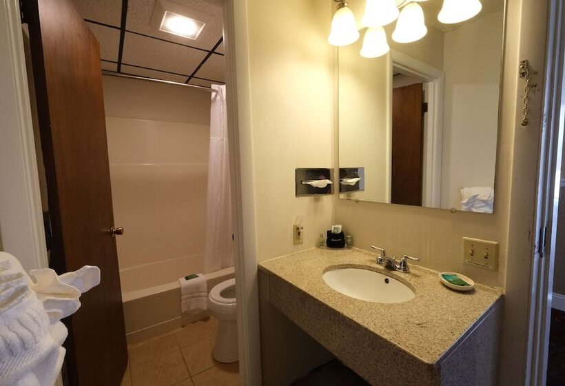 هتل Fireside Inn And Suites Bangor