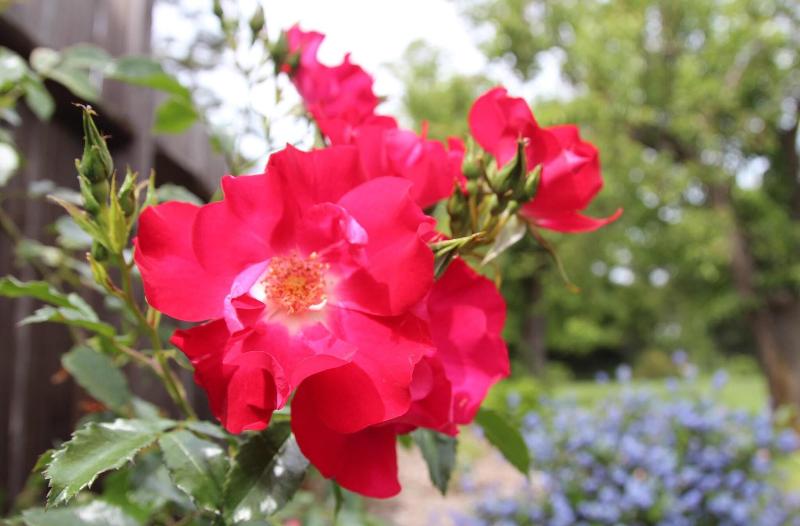 فندق Outlook Inn