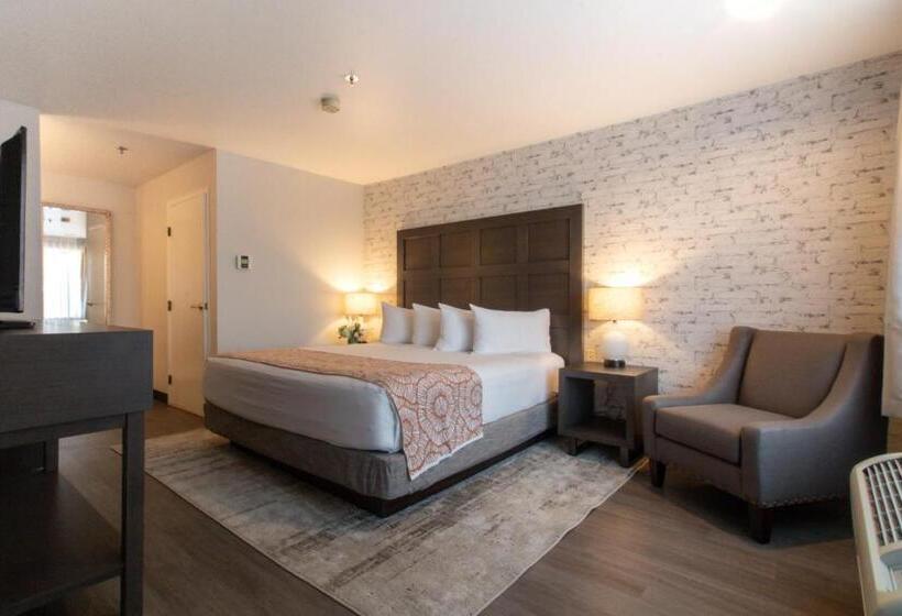 هتل Oxford Suites Chico