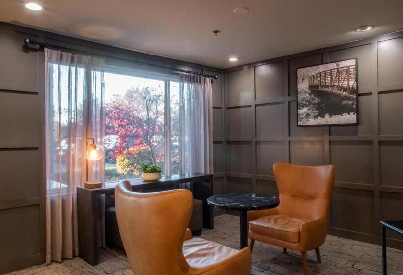 هتل Oxford Suites Chico