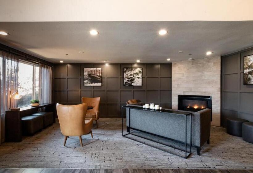 هتل Oxford Suites Chico