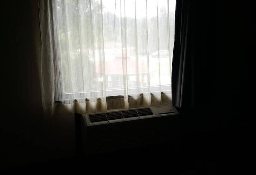 مُتل Aartpark Hotel Inn At Lewsiton