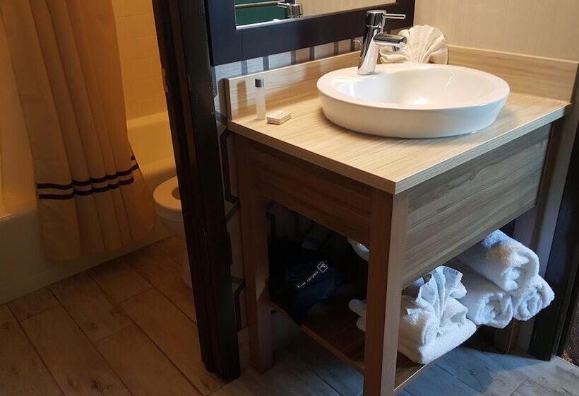 مُتل Aartpark Hotel Inn At Lewsiton