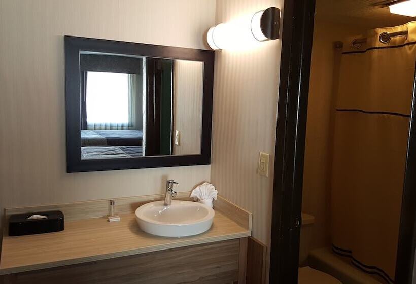 مُتل Aartpark Hotel Inn At Lewsiton