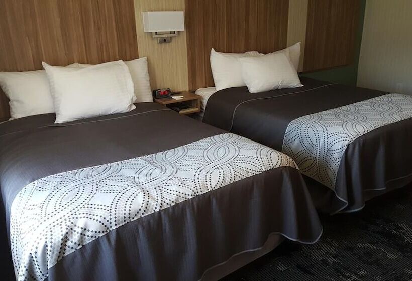 مُتل Aartpark Hotel Inn At Lewsiton